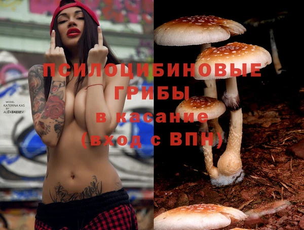 кокс Кукмор