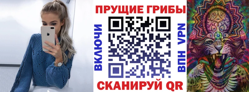 Купить закладки  Сурск  Галлюциногенные грибы Cubensis 